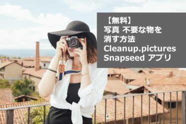【無料】写真 不要な物を消す方法 Cleanup.pictures と Snapseed アプリ