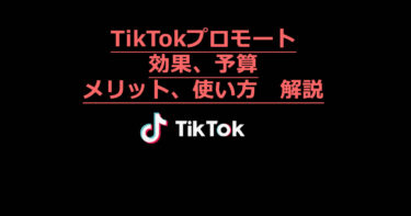 TikTokプロモート 効果 メリット デメリット 目的 予算 など まとめ